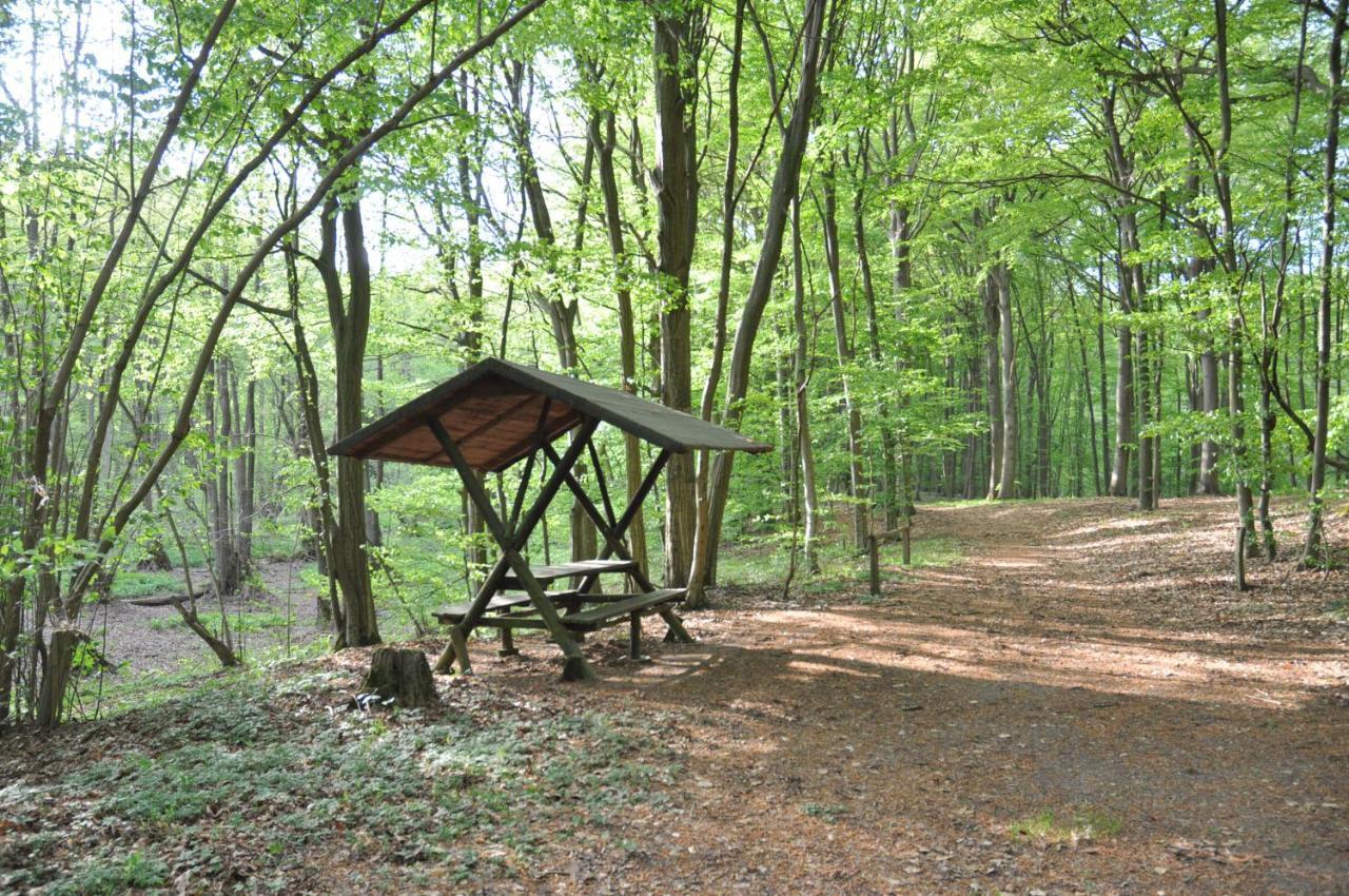 Ferienhaus Caselow 23 Bergholz Exteriér fotografie