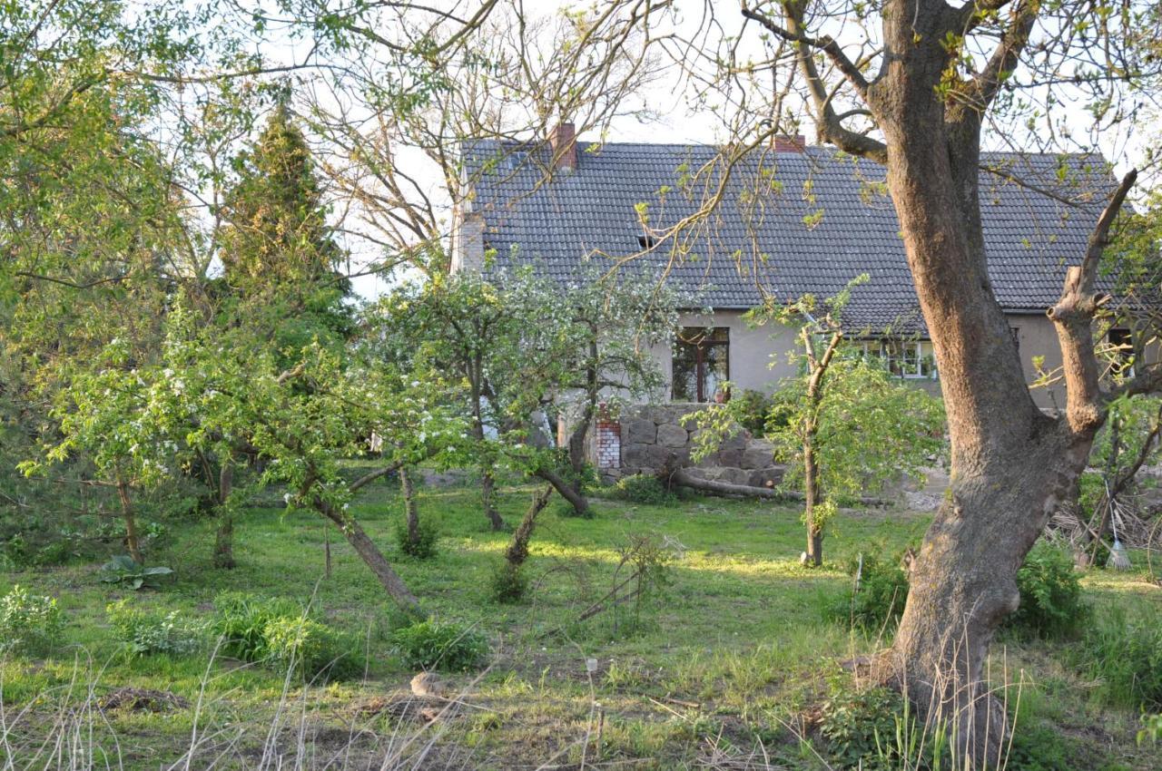 Ferienhaus Caselow 23 Bergholz Exteriér fotografie